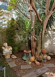 R14406C Trilocale con giardino
