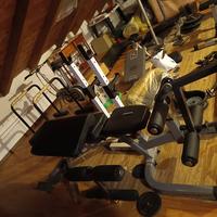 panca lat. machine. leg press body solid/powerline