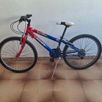 bicicletta mountain bike ragazzo