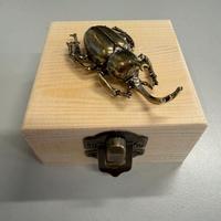 COLEOTTERO TENPAI PER BONSAI E TERRARIUM - BRONZO