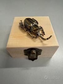 COLEOTTERO TENPAI PER BONSAI E TERRARIUM - BRONZO