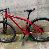 Mtb Specialized 29
