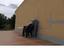 Immagine 10