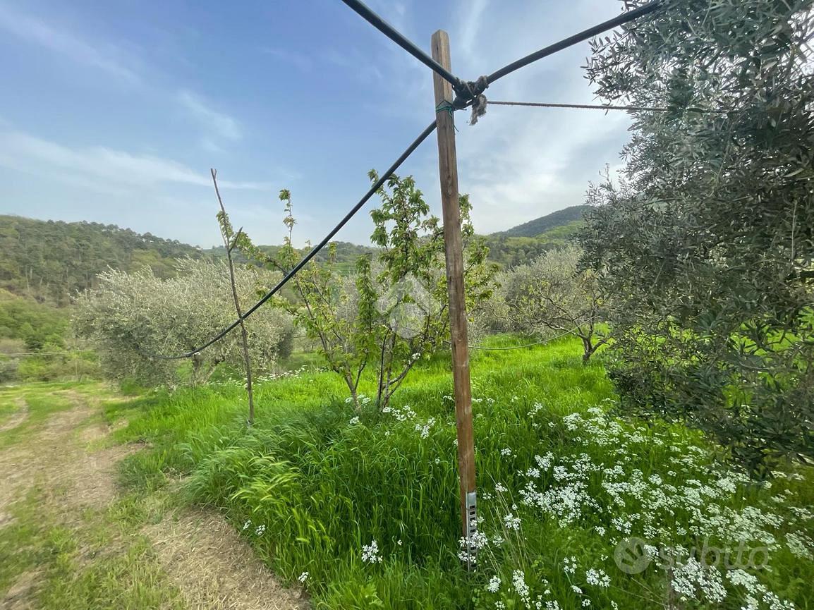 TER. AGRICOLO A PIEVE A NIEVOLE - Vista 4