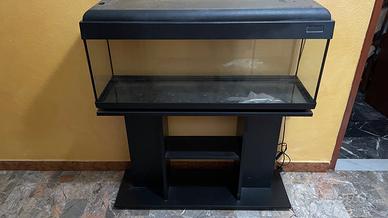 Acquario