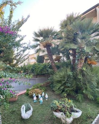 Villetta a schiera con giardino