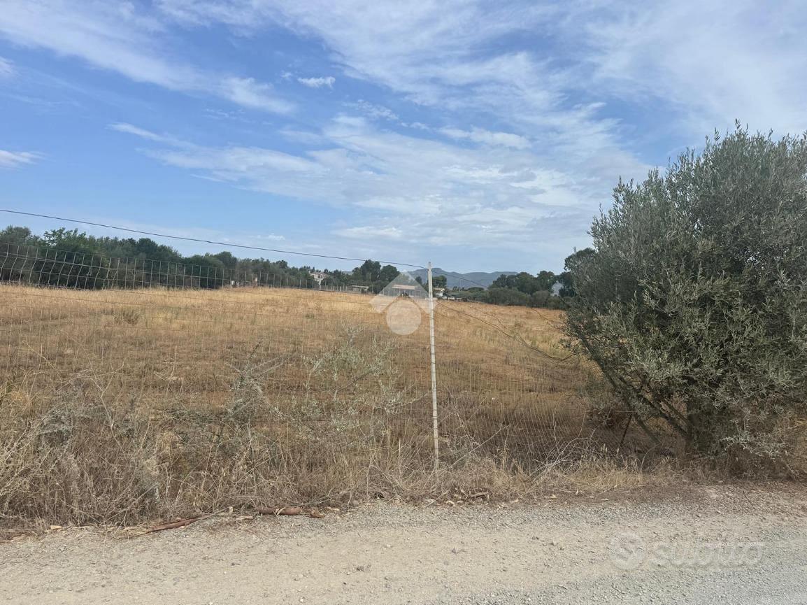 TER. AGRICOLO A QUARTUCCIU - Vista 4