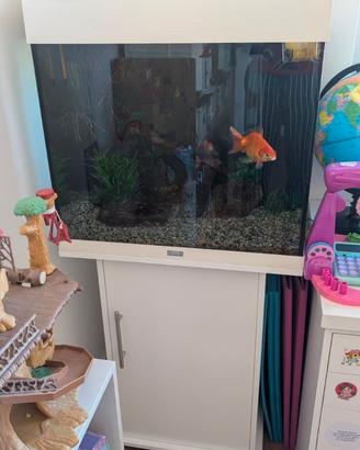 Acquario Juwel Lido 120 con mobiletto e accessori