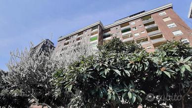 MONOLOCALE A CINISELLO BALSAMO