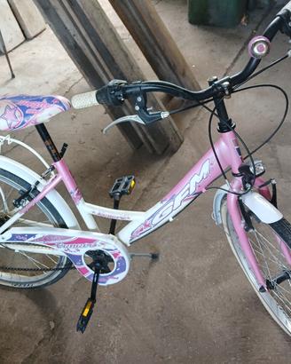 bicicletta