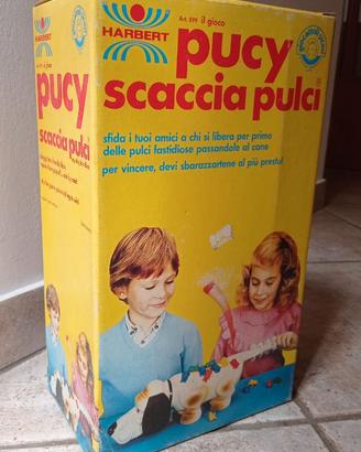 Pucy-Scaccia-Pulci Harbert