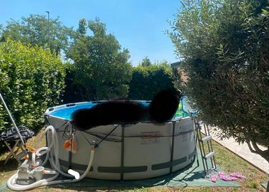 Piscina esterna bestway filtro a sabbia 10000 lt/h