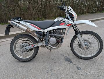 Beta Alp 4.0 (350 cc Suzuki) my 2010