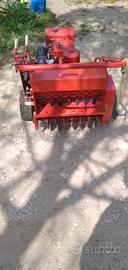 trasemina a disco jacobsen 