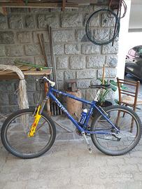 bicicletta