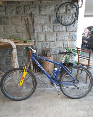 bicicletta