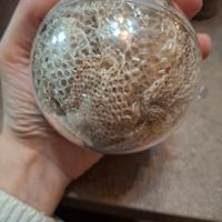 Pelle di serpente collezione