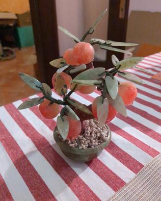 Bonsai giada
