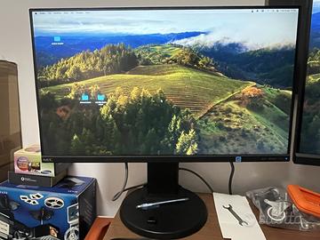 Monitor 24 pollici IPS della NEC