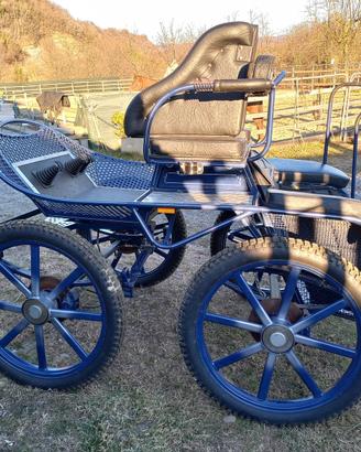 Carrozza Maraton