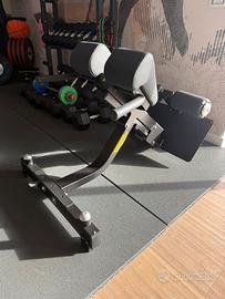 Panca romana technogym