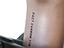 Immagine 15