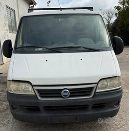 Ricambi usati Fiat ducato 2.3 diesel F1AE0481C