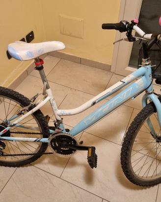 Mountain Bike marca Vicina Cambio Shimano