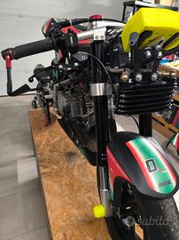 Forcelle minigp regolabili 