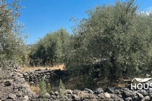 ADRANO – TERRENO CON CASEGGIATO