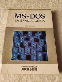 Libro ZX Spectrum e MS DOS 1980 Leggere