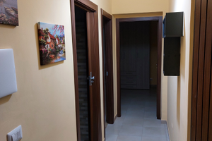 Singola per studente zona Policlinico