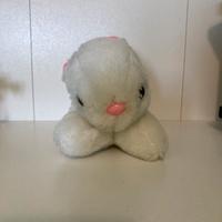 Peluche coniglio