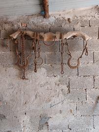 Zoo antico per arare campi con bestiame