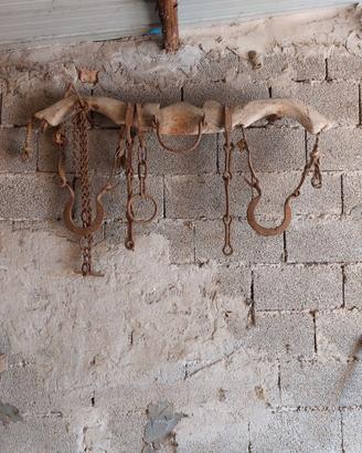 Zoo antico per arare campi con bestiame