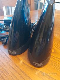 Estensore di telecomando radio