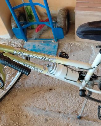 Bici da donna 