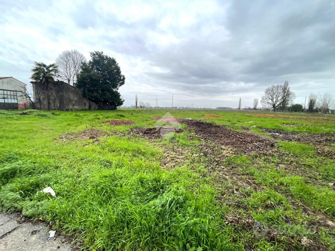 TERRENO A ARRE - Vista 5
