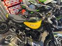 z900rs-jellow-ball