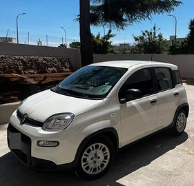 Fiat Pandina hybrid