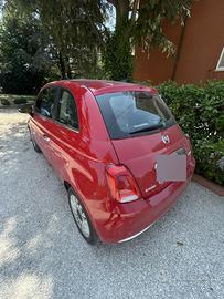 500 ibrida Dolcevita