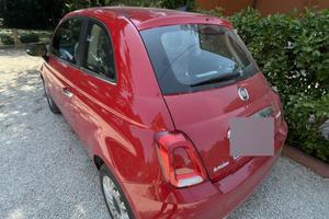 500 ibrida Dolcevita