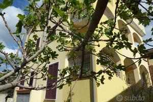 Palazzina - siniscola