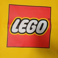 Lego da collezione privata
