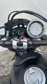 Moto Ducati Scrambler 800
