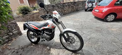 moto beta 