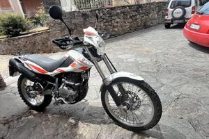 moto beta 