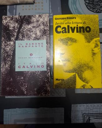 2 libri  italo calvino