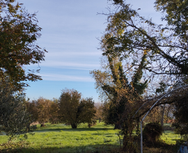 Terreno con casa