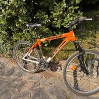 Bicicletta MTB